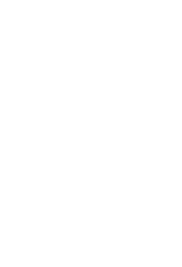 Vizzor